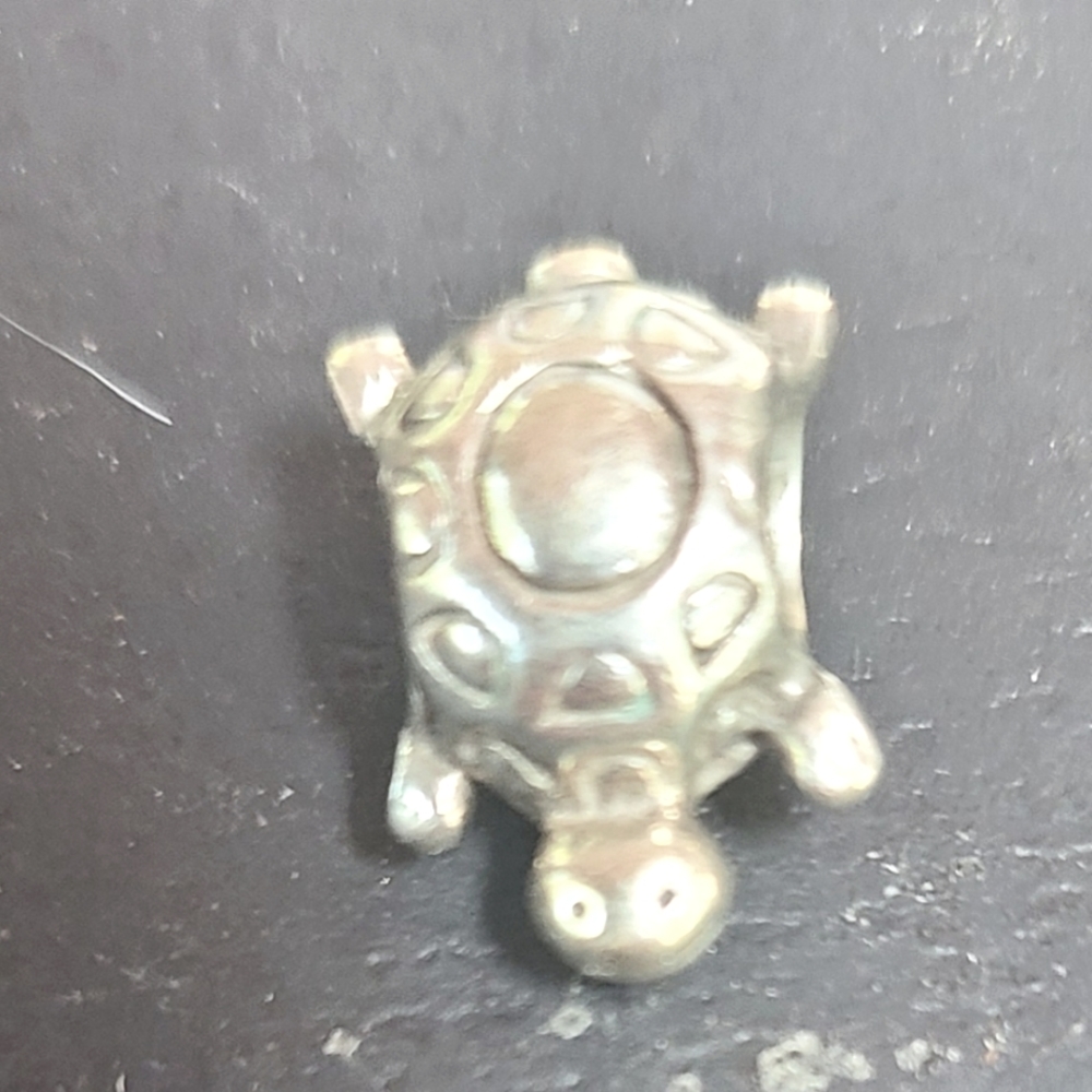 Pandora turtle